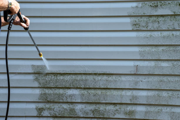 Best Storm Damage Siding Repair  in Teague, TX