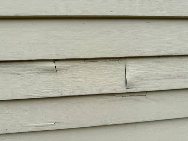 Best Engineered Wood Siding  in Teague, TX